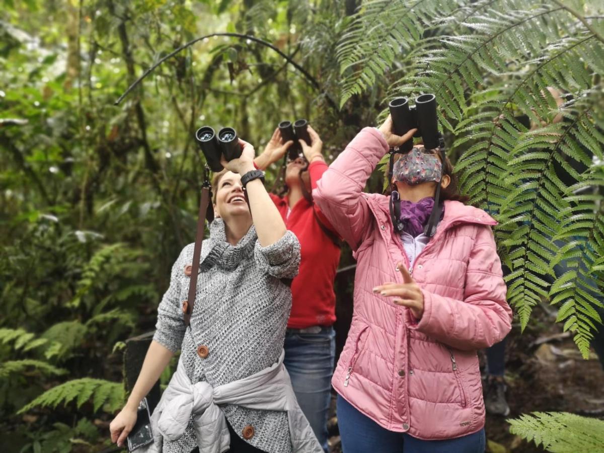 Bosque De Niebla Birding & Nature Cali Buitenkant foto