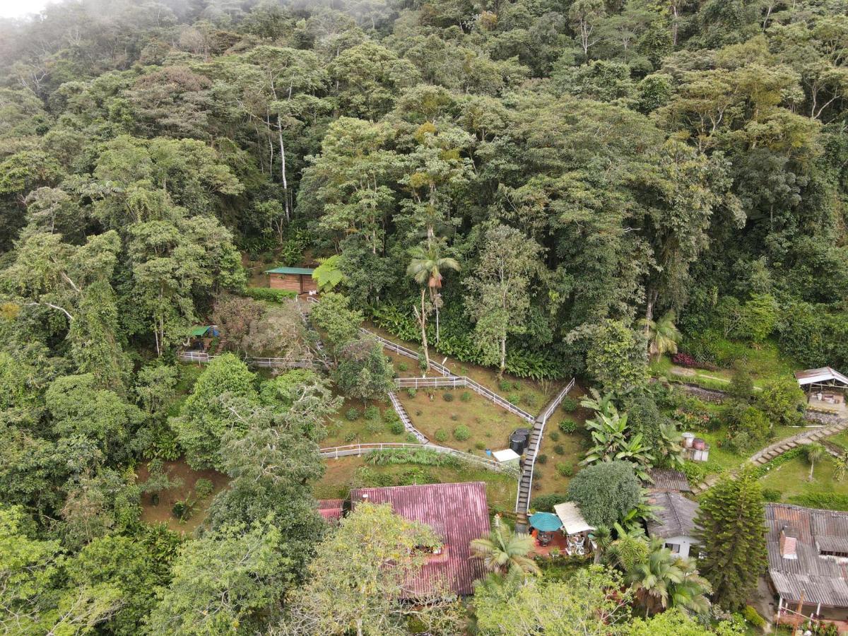 Bosque De Niebla Birding & Nature Cali Buitenkant foto