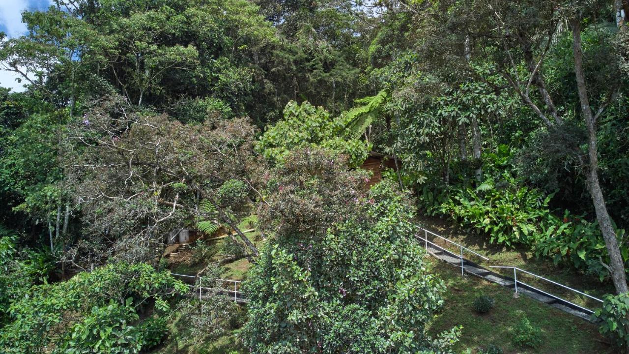 Bosque De Niebla Birding & Nature Cali Buitenkant foto